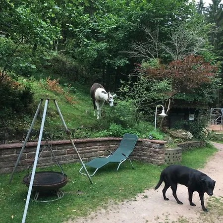 Ferienwohnung Am Aschbacherhof Kaiserslautern