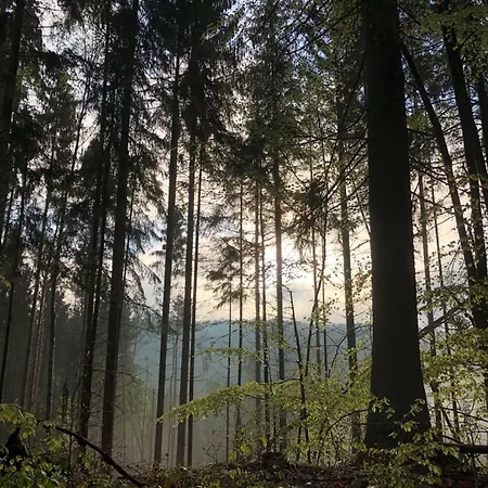 Ferienwohnung Am Aschbacherhof